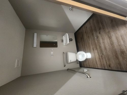 Wild Fox Painting Interior project