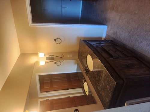 Wild Fox Painting Interior project
