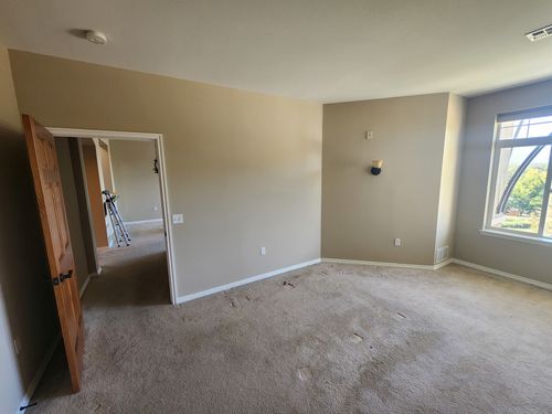 Wild Fox Painting Interior project