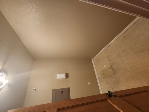 Wild Fox Painting Interior project