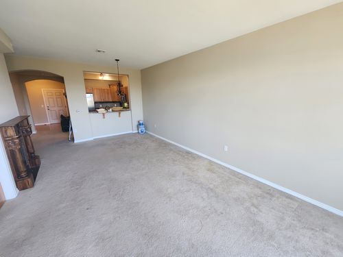 Wild Fox Painting Interior project