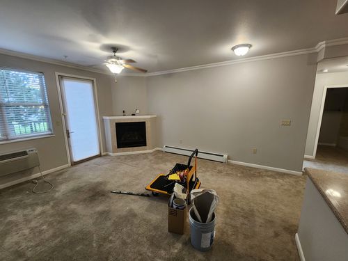 Wild Fox Painting Interior project