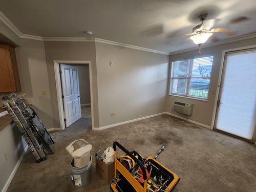 Wild Fox Painting Interior project