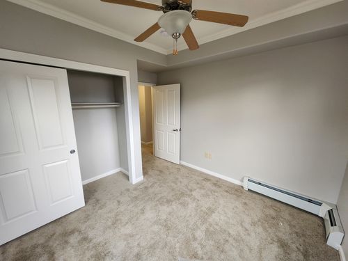 Wild Fox Painting Interior project