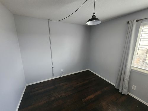 Wild Fox Painting Interior project