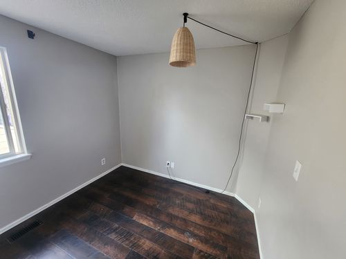 Wild Fox Painting Interior project