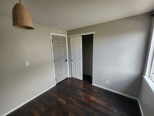 Wild Fox Painting Interior project