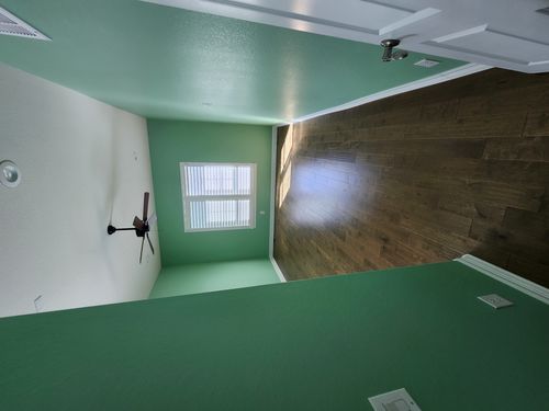 Wild Fox Painting Interior project