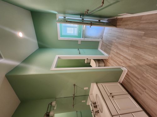 Wild Fox Painting Interior project