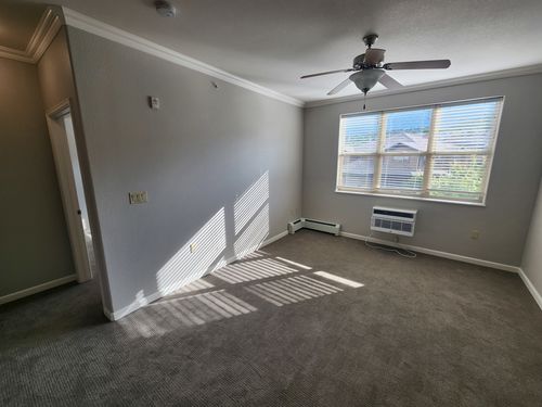 Wild Fox Painting Interior project