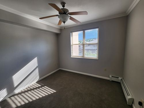 Wild Fox Painting Interior project