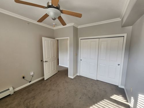 Wild Fox Painting Interior project