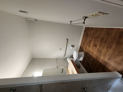 Wild Fox Painting Interior project