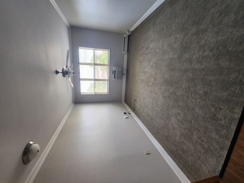 Wild Fox Painting Interior project