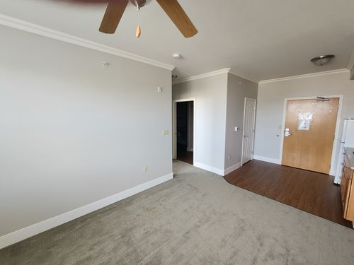 Wild Fox Painting Interior project