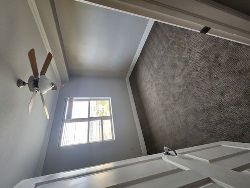 Wild Fox Painting Interior project