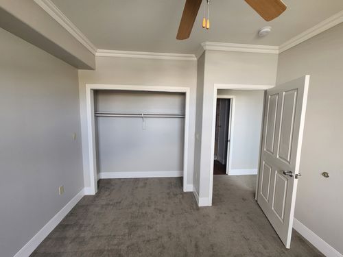 Wild Fox Painting Interior project