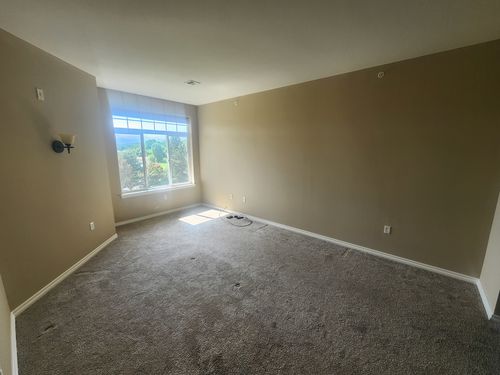Wild Fox Painting Interior project
