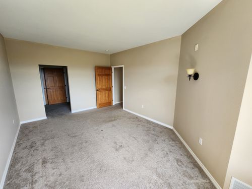 Wild Fox Painting Interior project