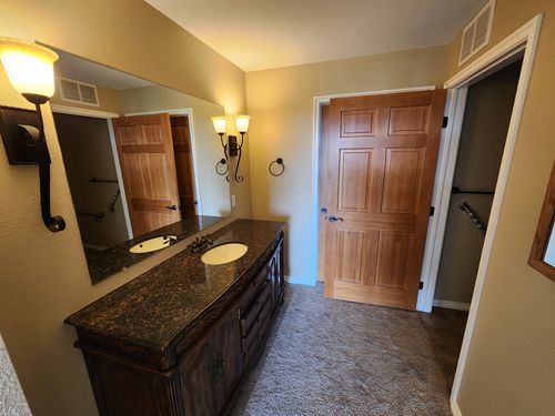 Wild Fox Painting Interior project