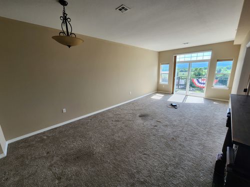 Wild Fox Painting Interior project