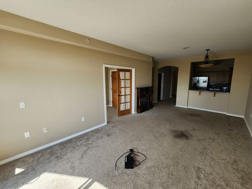 Wild Fox Painting Interior project