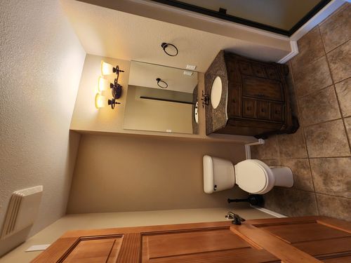 Wild Fox Painting Interior project
