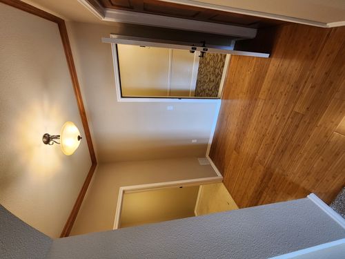 Wild Fox Painting Interior project
