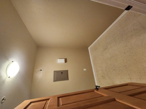 Wild Fox Painting Interior project