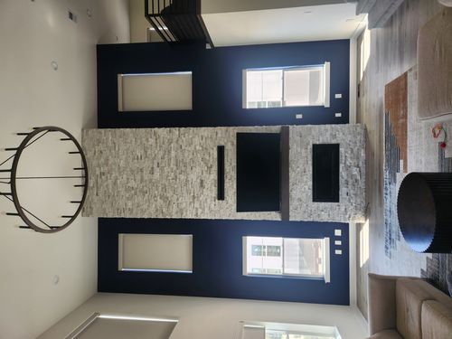 Wild Fox Painting Interior project