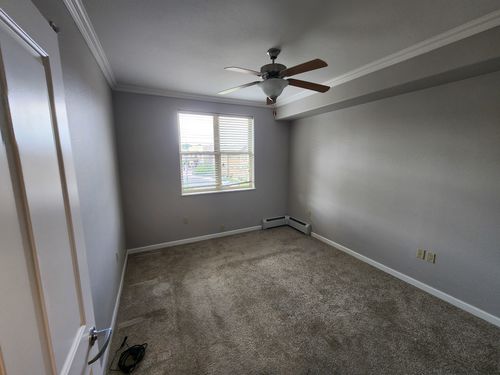 Wild Fox Painting Interior project