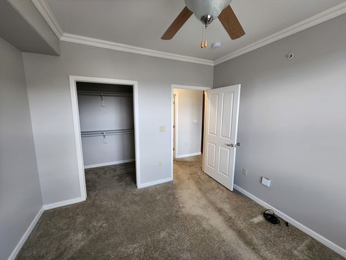 Wild Fox Painting Interior project