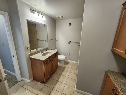 Wild Fox Painting Interior project