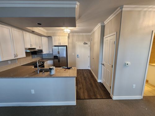 Wild Fox Painting Interior project