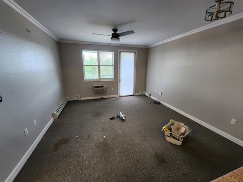 Wild Fox Painting Interior project