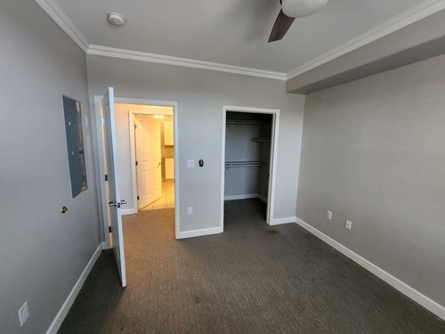 Wild Fox Painting Interior project
