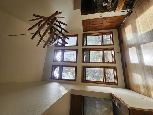 Wild Fox Painting Interior project
