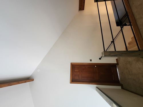 Wild Fox Painting Interior project