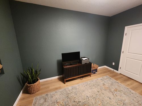 Wild Fox Painting Interior project