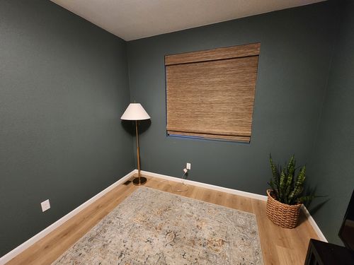 Wild Fox Painting Interior project