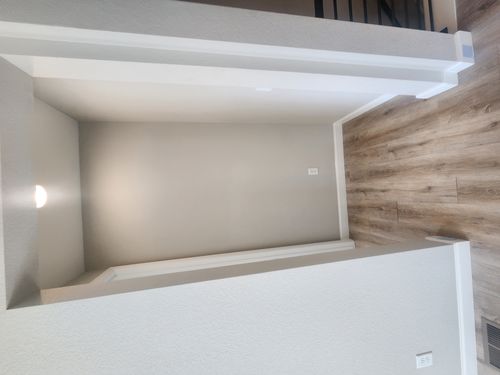 Wild Fox Painting Interior project