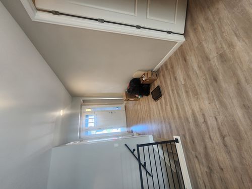 Wild Fox Painting Interior project