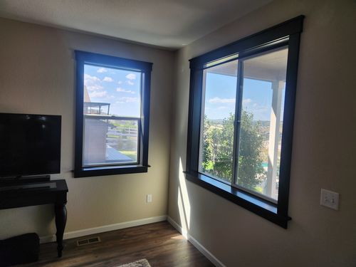 Wild Fox Painting Interior project