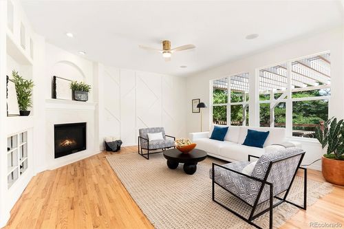 Wild Fox Painting Interior project