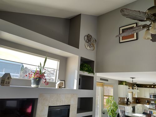 Wild Fox Painting Interior project