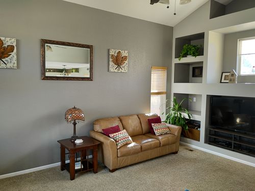 Wild Fox Painting Interior project