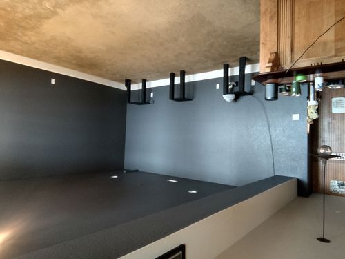 Wild Fox Painting Interior project
