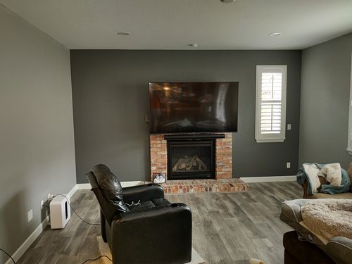 Wild Fox Painting Interior project