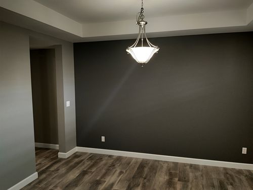 Wild Fox Painting Interior project
