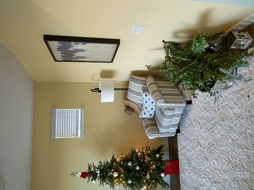 Wild Fox Painting Interior project